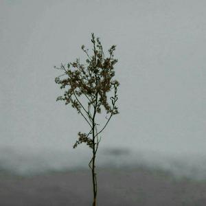 粗大的🐔吧在里面伸来伸去漫画
